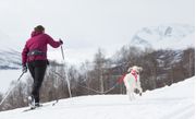 Non-stop Trekking Løpebelte - Blå (44-1221)