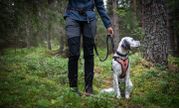 Non-stop Kjørestrikk Touring Bungee Regulerbart (44-16331-1500059685)