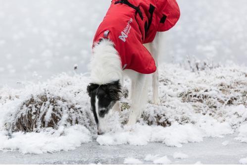 Non-stop Long Distance Jacket (44-2723)