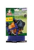  Marsvinsele med Leiebånd - Blå