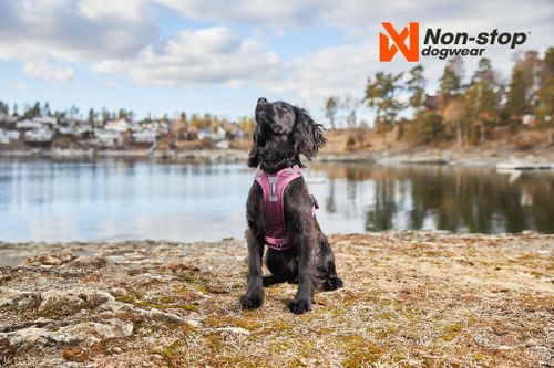 Non-stop Ramble Harness, Lilla (44-1317)