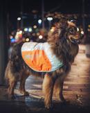 Non-stop Refleksvest  (44-1833)