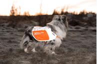 Non-stop Refleksvest  (44-1833)