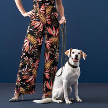 Hunter Solid Education Special Halsbånd, Olivengrønn (1-67573)