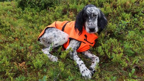 Jægerens Varmedekken - Orange (1041O-1500011262)
