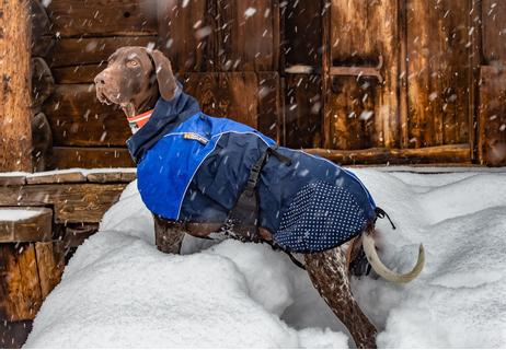 Non-stop Beta Pro Regndekken - Blå (44-2922-1500015725)