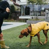 Hunter Milford Regndekken - Gul (1-69016-1500059437)