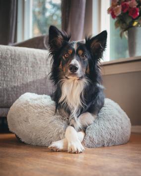 Yali Donutseng Grå (51-716056-1500010963)