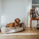 Hunter Livingston Hundeseng - Grå (1-67771)