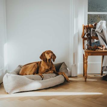 Hunter Livingston Hundeseng - Grå (1-67771)