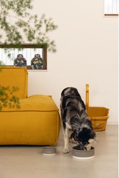 Designed by Lotte Keramikk Matskål - Grå (51-651500-1500064561)