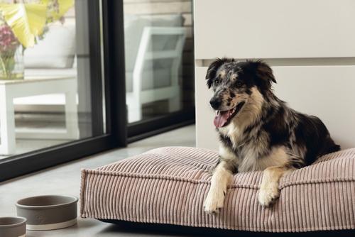 Designed by Lotte Hundemadrass i Ribbestoff - Rosa (51-716122-1500011652)