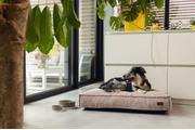 Designed by Lotte Hundemadrass i Ribbestoff - Rosa (51-716122-1500011652)