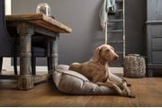 Designed by Lotte Nalino Hundemadrass - Grå (51-704834-1500019562)