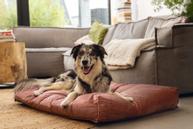 Designed by Lotte Nalino Hundemadrass - Rosa (51-704836-1500019568)