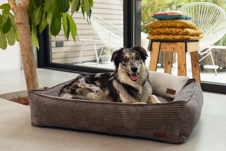 Designed by Lotte Hundeseng i Ribbestoff - Brun (51-716160)