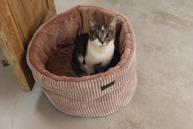 Designed by Lotte Kattekurv i Ribbestoff,  Rosa - 35cm (51-716172)