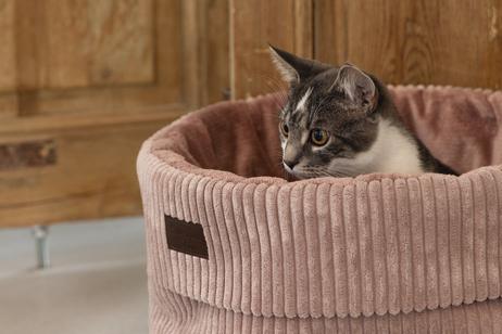 Designed by Lotte Kattekurv i Ribbestoff,  Rosa - 35cm (51-716172)