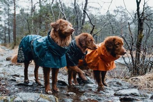 Hurtta Monsoon Regndekken - Orange (16-H933684)