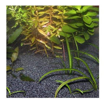 JBL Sansibar Akvariegrus,  Svart - 5kg (18-136.0142)