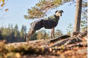 Non-stop Glacier Wool Jacket 2.0 - Grå/Grønn  (44-32431)