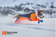 Non-stop Protector Snow, Heldress Hannhund - Svart/ Orange (44-2501-1500015596)