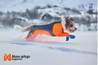 Non-stop Protector Snow, Heldress Hannhund - Svart/ Orange (44-2504)