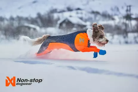 Non-stop Protector Snow, Heldress Hannhund - Svart/ Orange (44-2504)