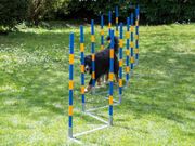 Agility Profi Slalom Allé PRO-serie (56-AP2-420611140335)