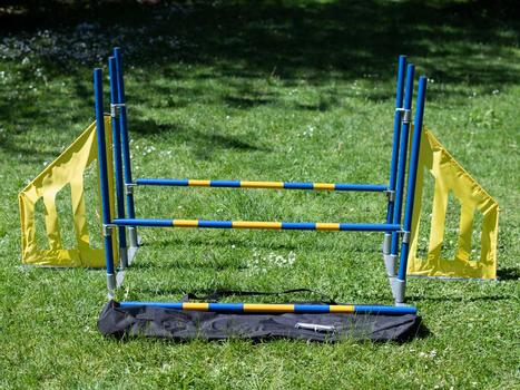 Agility Profi Trippel Hopp PRO-serie (56-NDA1057-B)