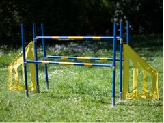  Agility Profi Trippel Hopp PRO-serie