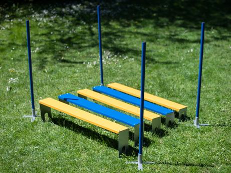  Agility Profi Lengdehopp med Stolper PRO-serie