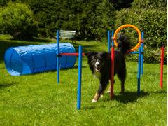  Agility Startersett K2