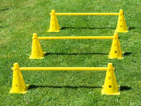 Agilityhinder Sett med 2 Kjegler og 1 Stang (56-A16-SAD6225)