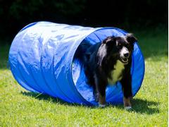  Agility Tunnel - 152cm