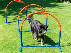  Agility Hooper - 1stk