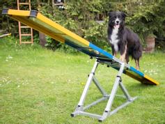  Agility Profi Vippe PRO-serie