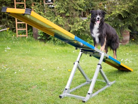  Agility Profi Vippe PRO-serie