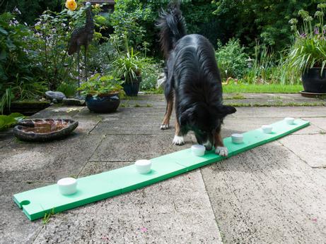 Smeller Lukteboks på Linje - 6stk (56-I4)