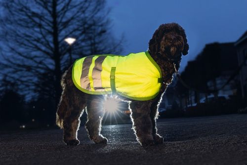 Fôret Refleksdekken til Hund (766131)