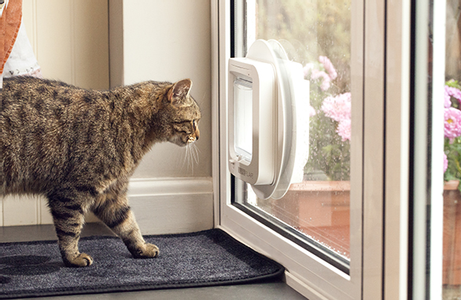  SureFlap Katteluke Microchip - Hvit