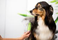 Moser Pelsrake (16-H7135)