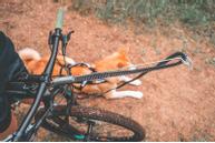 Non-stop Sykkelantenne (44-1000)