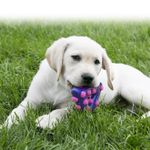 Kong Dotz Trekant Hundeleke (14-516738-1500037563)