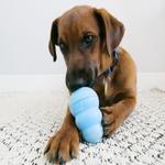 Kong Puppy Valpeleke - Blå (14-507458-1500038546)