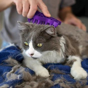 Kong Zoom Groom Kattebørste - Lilla (40-B0097)