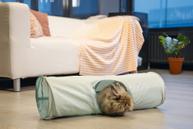 Tunnel til Gnagere, Mint - 70cm (51-811165)