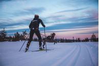 Non-stop Løype Belt - Svart (44-1250-1500055628)