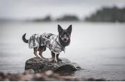 Paikka Recovery Regndekken - Kamuflasje (120-1045011-1500049658)