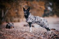 Paikka Recovery Regndekken - Kamuflasje (120-1045011)